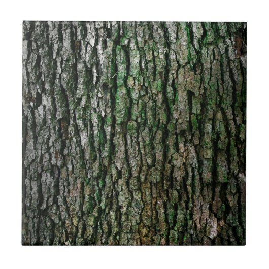 Carreau Tronc d'arbre (écorce en bois) (Devant)