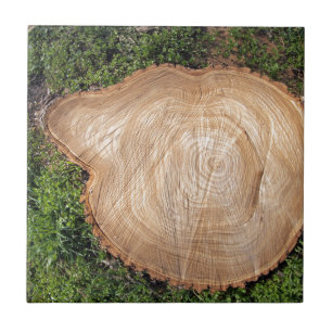 Carreau Tronçon d'arbre frais de coupe