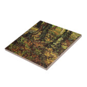 Carreau Troncs d'arbres avec Ivy par Vincent van Gogh (Côté)