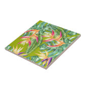 Carreau Tropical (Côté)