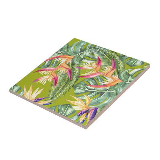 Carreau Tropical (Côté)