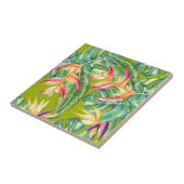 Carreau Tropical (Côté)