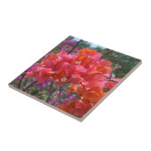 Carreau Tropical Pink Bougainvillea Island Floral (Côté)