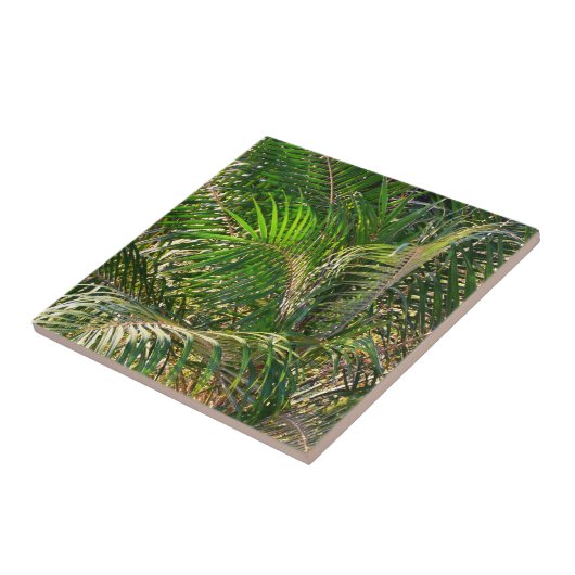 Carreau Tropique des contours de palmiers clairs du couche (Côté)