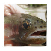 Carreau Trout à Hands (Devant)