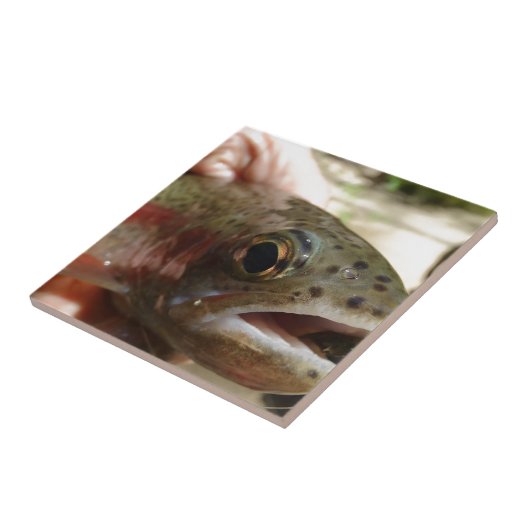 Carreau Trout à Hands (Côté)