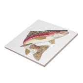 Carreau Truite arc-en-ciel (Côté)