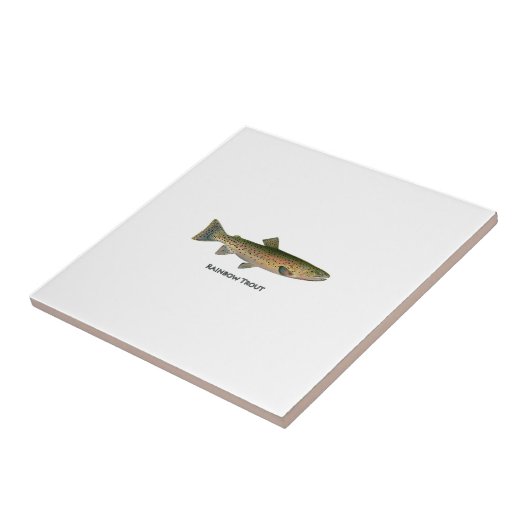 Carreau Truite arc-en-ciel (eau douce) (Côté)