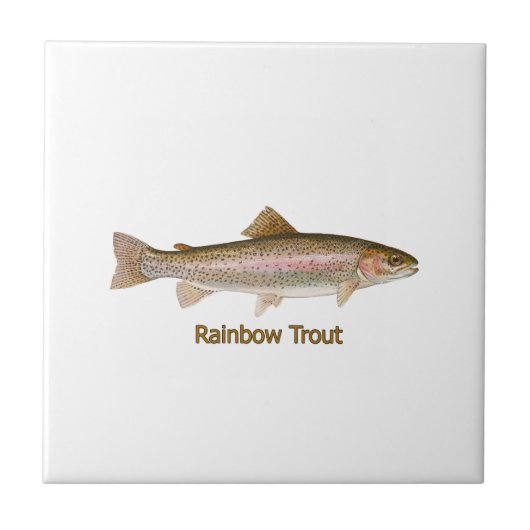 Carreau Truite arc-en-ciel (titre) (Devant)