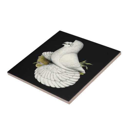 Carreau Trumpeter Pigeon White (Côté)