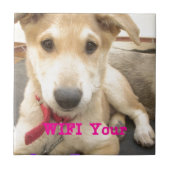 Carreau Tu Devrais WIFI Ton Amour Tous Les Jours (Devant)