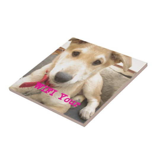 Carreau Tu Devrais WIFI Ton Amour Tous Les Jours (Côté)