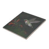 Carreau tuile (Côté)