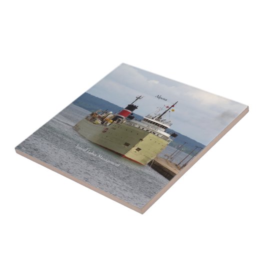 Carreau Tuile Alpena Soo (Côté)