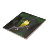 Carreau Tuile américaine de chardonneret (Côté)