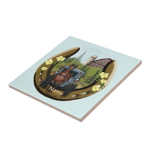 Carreau Tuile Amish Road Trip (Côté)