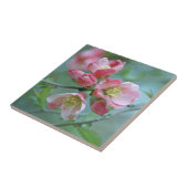 Carreau Tuile Apple Blossom #P0356 (Côté)