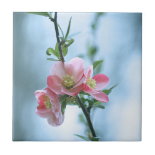 Carreau Tuile Apple Blossom #P0365