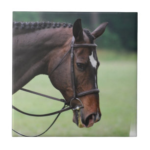 Carreau Tuile Arabe douce de cheval