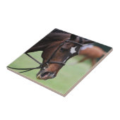 Carreau Tuile Arabe mignonne de cheval (Côté)