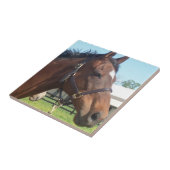 Carreau Tuile Arabe vigilante de cheval (Côté)