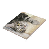 Carreau Tuile argentée de visage de chat tigré (Côté)