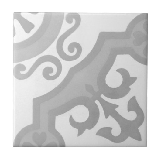 Carreau Tuile authentique de ciment d'Encaustic de (Devant)