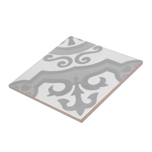 Carreau Tuile authentique de ciment d'Encaustic de (Côté)