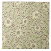 Carreau Tuile avec la conception de papier peint de (Devant)