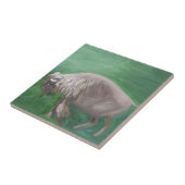 Carreau Tuile blanche de Buffalo (Côté)