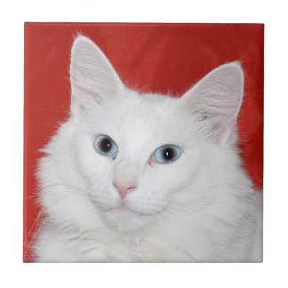 Carreau Tuile blanche de visage de chat