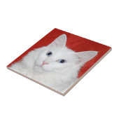 Carreau Tuile blanche de visage de chat (Côté)