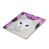 Carreau Tuile blanche de visage de chat (Côté)