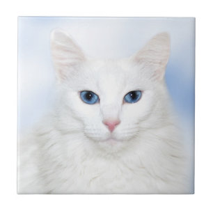 Carreau Tuile blanche de visage de chat