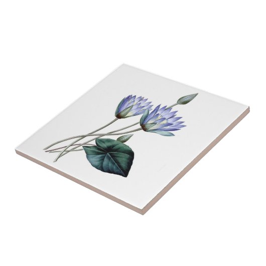 Carreau Tuile bleue de nénuphars (Côté)