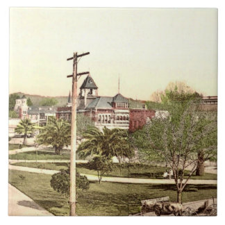 Carreau Tuile céramique Healdsburg, Californie