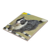 Carreau Tuile d'agilité de border collie (Côté)