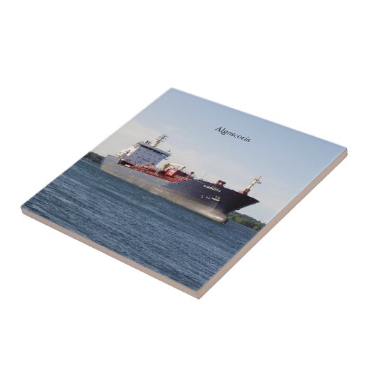 Carreau Tuile d'Algoscotia (Côté)