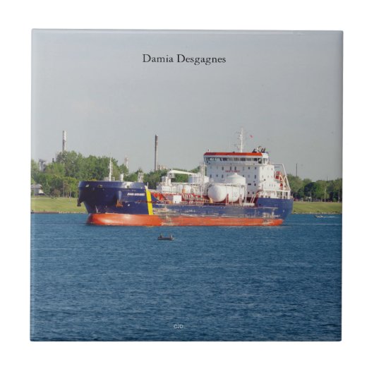 Carreau Tuile Damia Desgagnes (Devant)