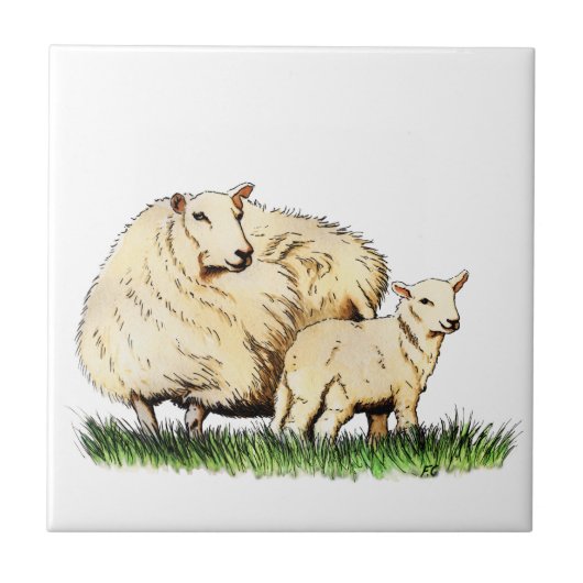 Carreau tuile d'animal de deux moutons (Devant)