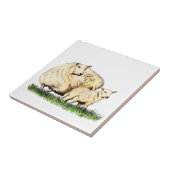 Carreau tuile d'animal de deux moutons (Côté)