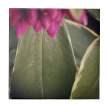 Tuile Daphne de Flora