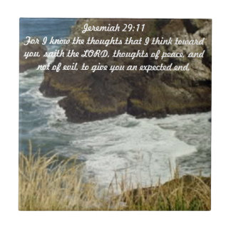 Carreau Tuile de 29:11 de Jérémie