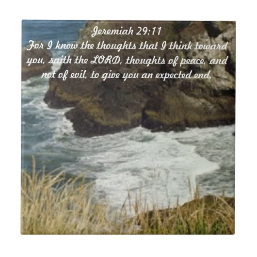 Carreau Tuile de 29:11 de Jérémie (Devant)