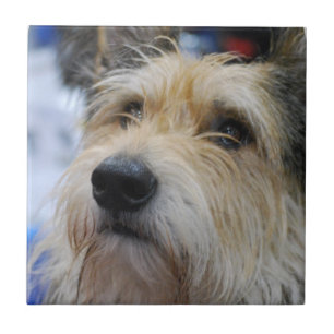 Carreau Tuile de Berger Picard