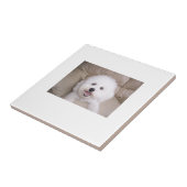 Carreau Tuile de Bichon Frise (Côté)
