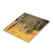 Carreau tuile de bois de tremble (Côté)