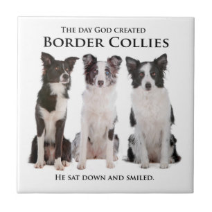 Carreau Tuile de border collie
