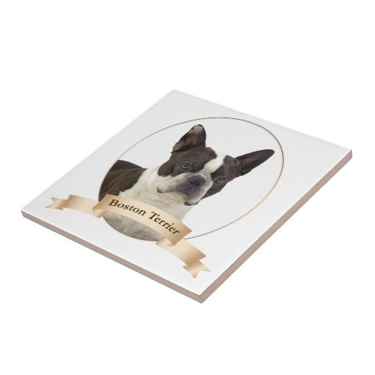 Carreau Tuile de Boston Terrier (Côté)