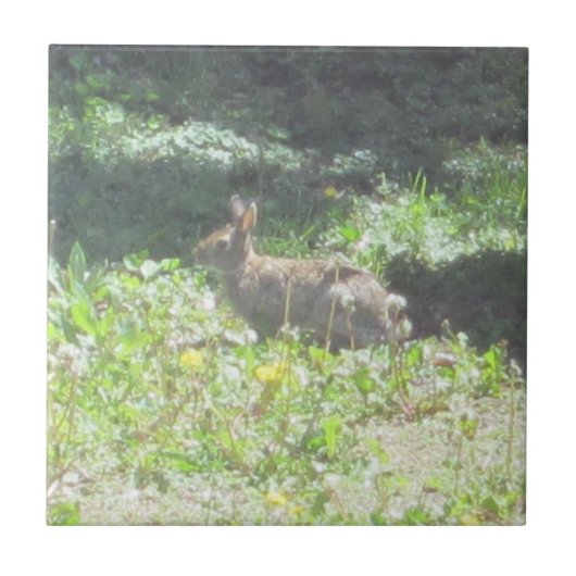Carreau Tuile de Bunny sauvage (Devant)